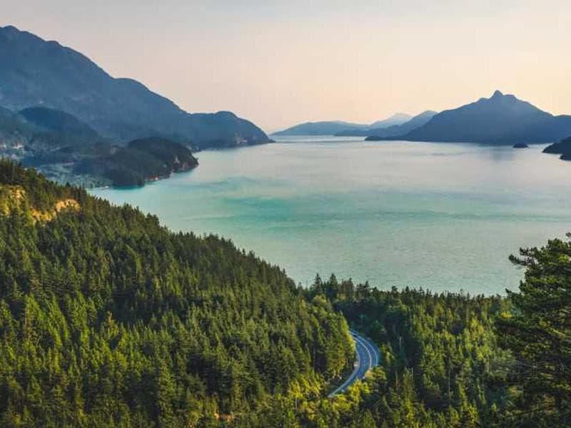 Discovery & Strategy