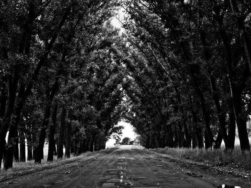 Design & Development